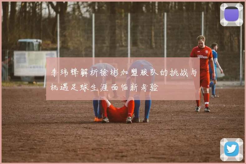 李玮锋解析徐彬加盟狼队的挑战与机遇足球生涯面临新考验