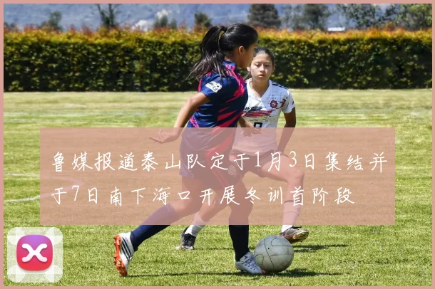 鲁媒报道泰山队定于1月3日集结并于7日南下海口开展冬训首阶段