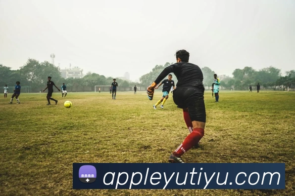 乐鱼体育服务体系